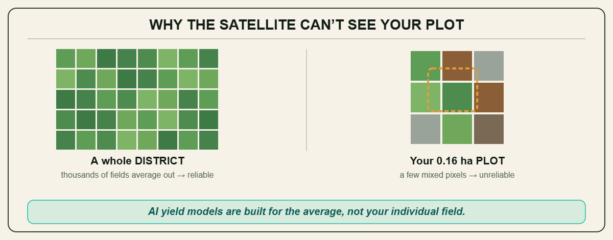 Why the satellite cannot see your plot