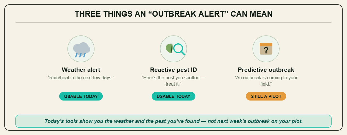 Three things an outbreak alert can mean
