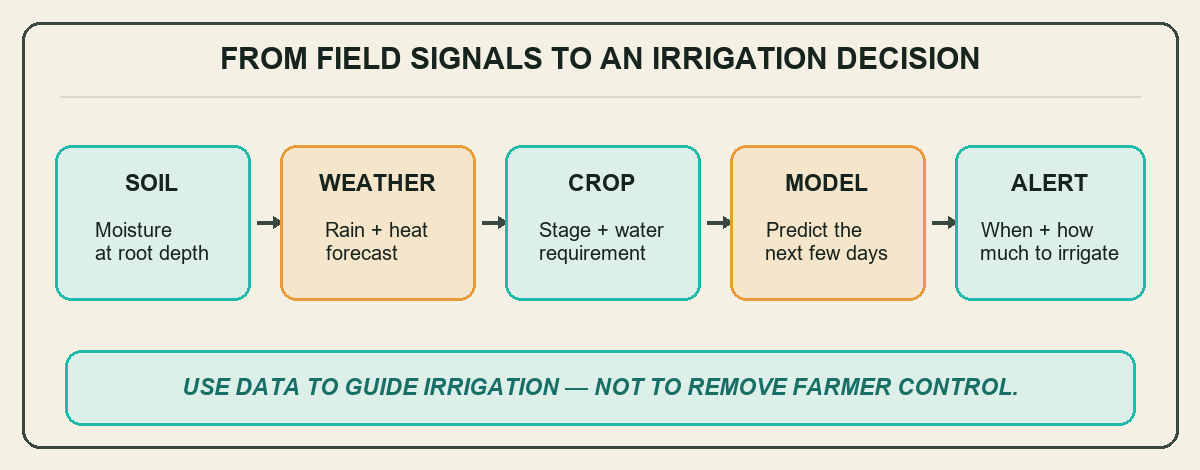 How soil weather and crop signals become an AI irrigation scheduling alert